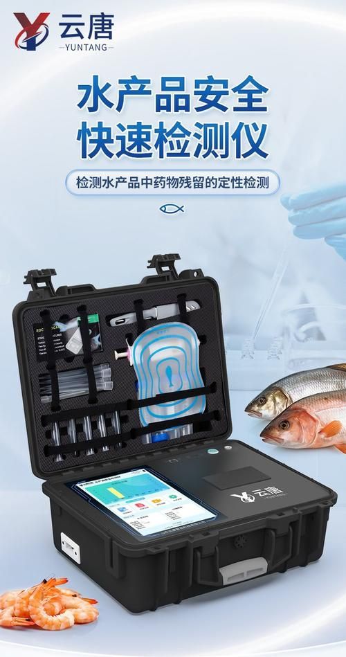 麻章龍魚的飼養(yǎng)方法