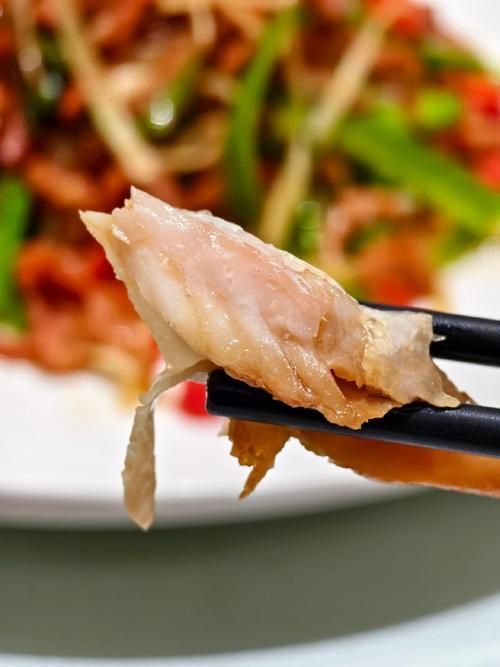 雪龍魚有哪些知名產品？