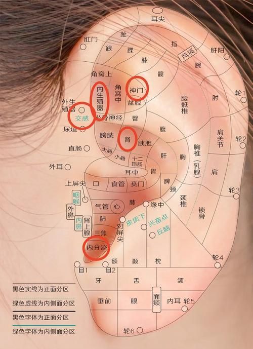 有哪些偏方可以治療氣蒙眼，“氣蒙眼”是民間對“急性青光眼”的俗稱
