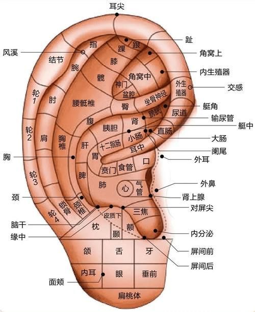 有哪些偏方可以治療氣蒙眼，“氣蒙眼”是民間對“急性青光眼”的俗稱