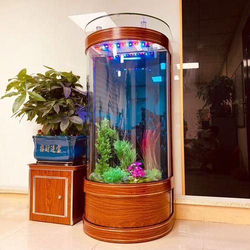 瑞龍魚缸有哪些型號(hào)可選？，瑞龍魚缸有哪些型號(hào)可選瑞龍水族官方旗艦店