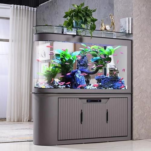 瑞龍魚缸有哪些型號(hào)可選？，瑞龍魚缸有哪些型號(hào)可選瑞龍水族官方旗艦店