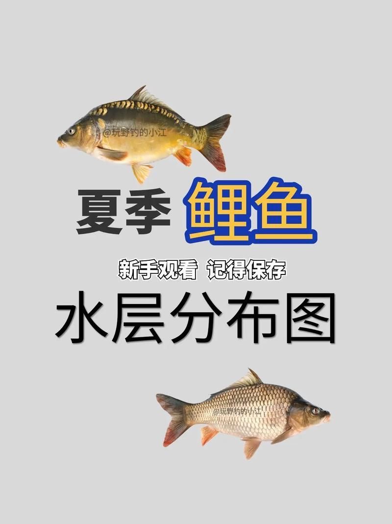混養(yǎng)時如何提供足夠的資源，混養(yǎng)時如何提供足夠的資源供給策略，混養(yǎng)系統(tǒng)中資源供給策略