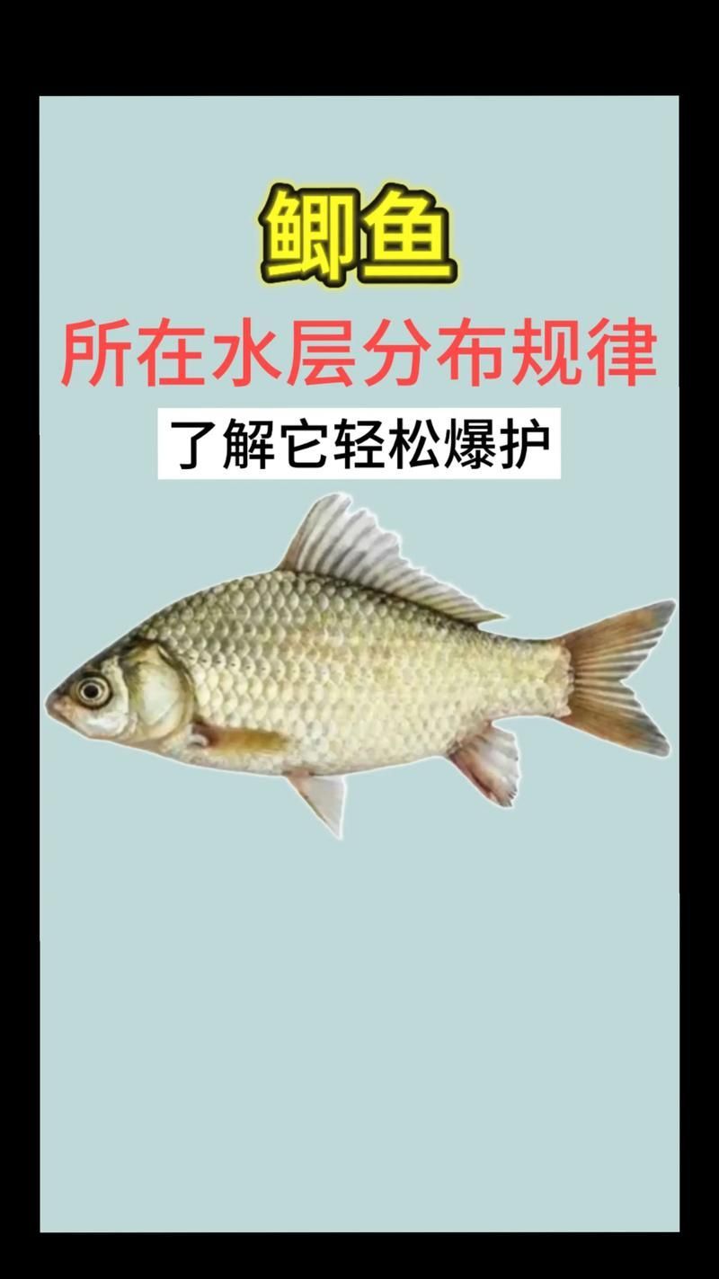 混養(yǎng)時如何提供足夠的資源，混養(yǎng)時如何提供足夠的資源供給策略，混養(yǎng)系統(tǒng)中資源供給策略