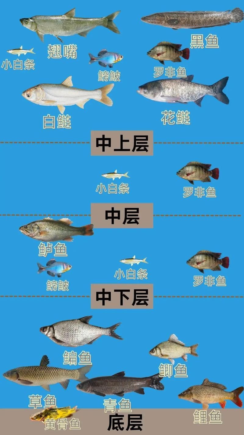 混養(yǎng)時(shí)如何提供足夠的資源，混養(yǎng)時(shí)如何提供足夠的資源供給策略，混養(yǎng)系統(tǒng)中資源供給策略