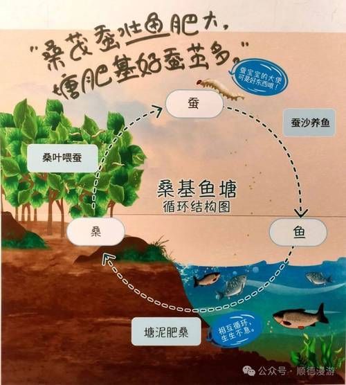 混養(yǎng)時如何提供足夠的資源，混養(yǎng)時如何提供足夠的資源供給策略，混養(yǎng)系統(tǒng)中資源供給策略