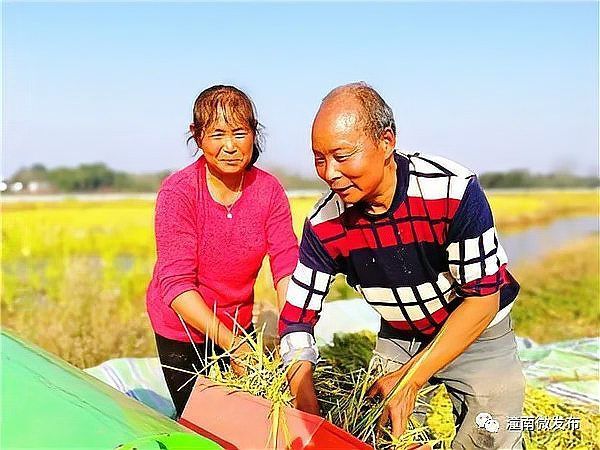 混養(yǎng)時如何提供足夠的資源，混養(yǎng)時如何提供足夠的資源供給策略，混養(yǎng)系統(tǒng)中資源供給策略