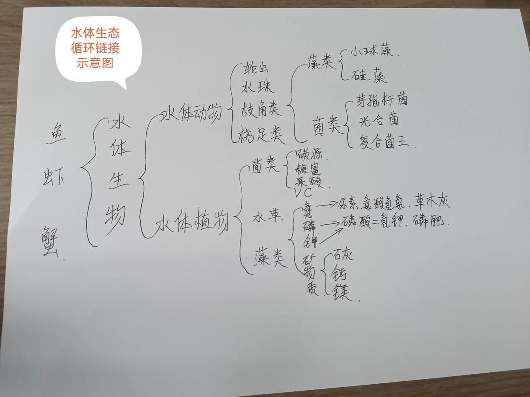 混養(yǎng)時如何提供足夠的資源，混養(yǎng)時如何提供足夠的資源供給策略，混養(yǎng)系統(tǒng)中資源供給策略