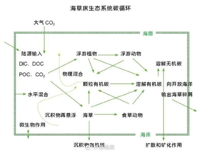 混養(yǎng)時如何提供足夠的資源，混養(yǎng)時如何提供足夠的資源供給策略，混養(yǎng)系統(tǒng)中資源供給策略