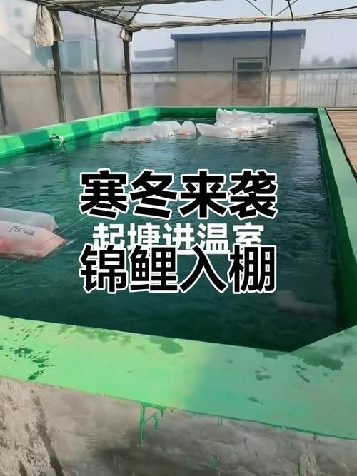 如何預防錦鯉炸鱗病，如何預防錦鯉炸鱗病思考完成arxiv論文助手arxiv論文