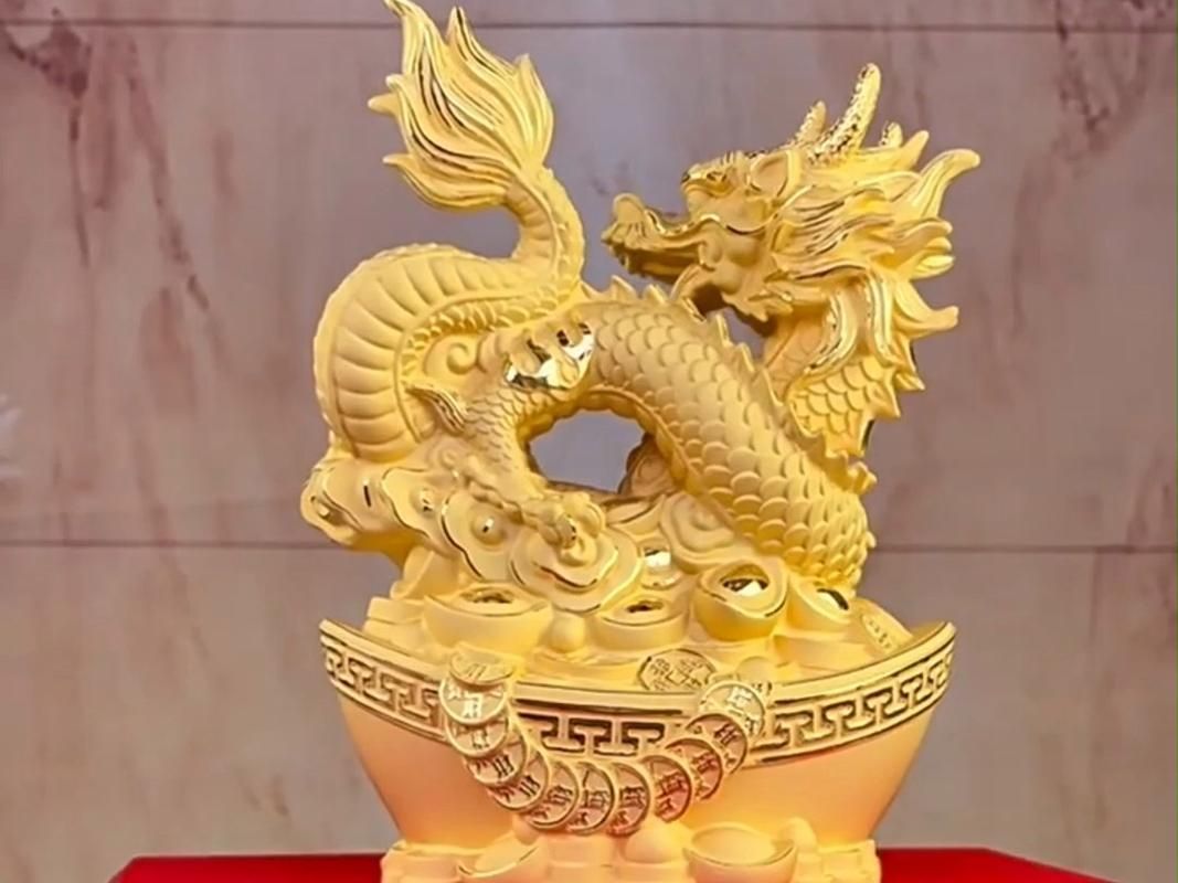 給我一些金龍金頭的圖片，金頭金龍魚的一般特點