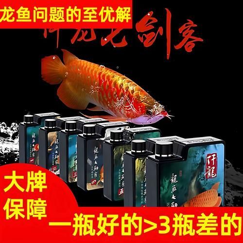 給我提供龍魚殺菌的詳細步驟圖片，龍魚殺菌的詳細步驟