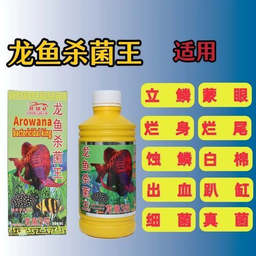 給我提供龍魚殺菌的詳細步驟圖片，龍魚殺菌的詳細步驟