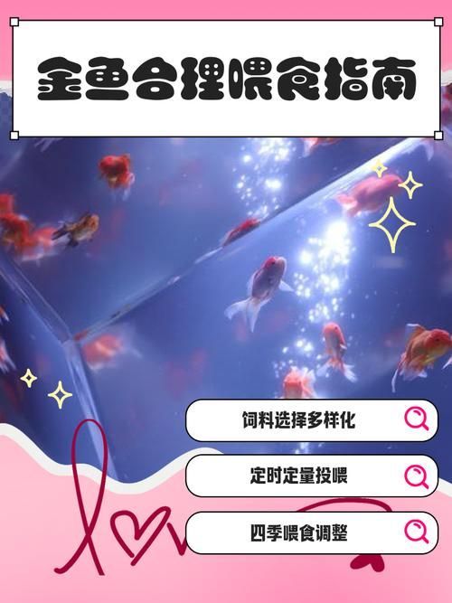 如何預(yù)防金魚肚子大炸鱗，如何預(yù)防金魚“肚子大炸鱗”