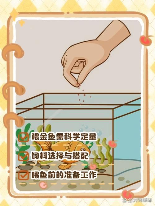 如何預(yù)防金魚肚子大炸鱗，如何預(yù)防金魚“肚子大炸鱗”