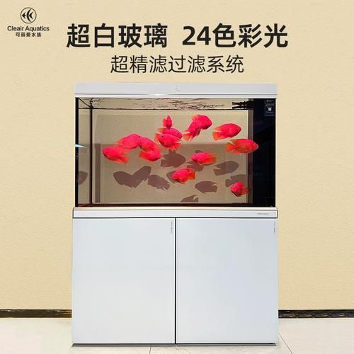 森森和可麗愛哪個更好？，森森和可麗愛哪個好