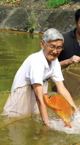 李亞四的龍魚繁殖場現在如何？，新加坡金龍魚繁殖場“李亞四漁場”
