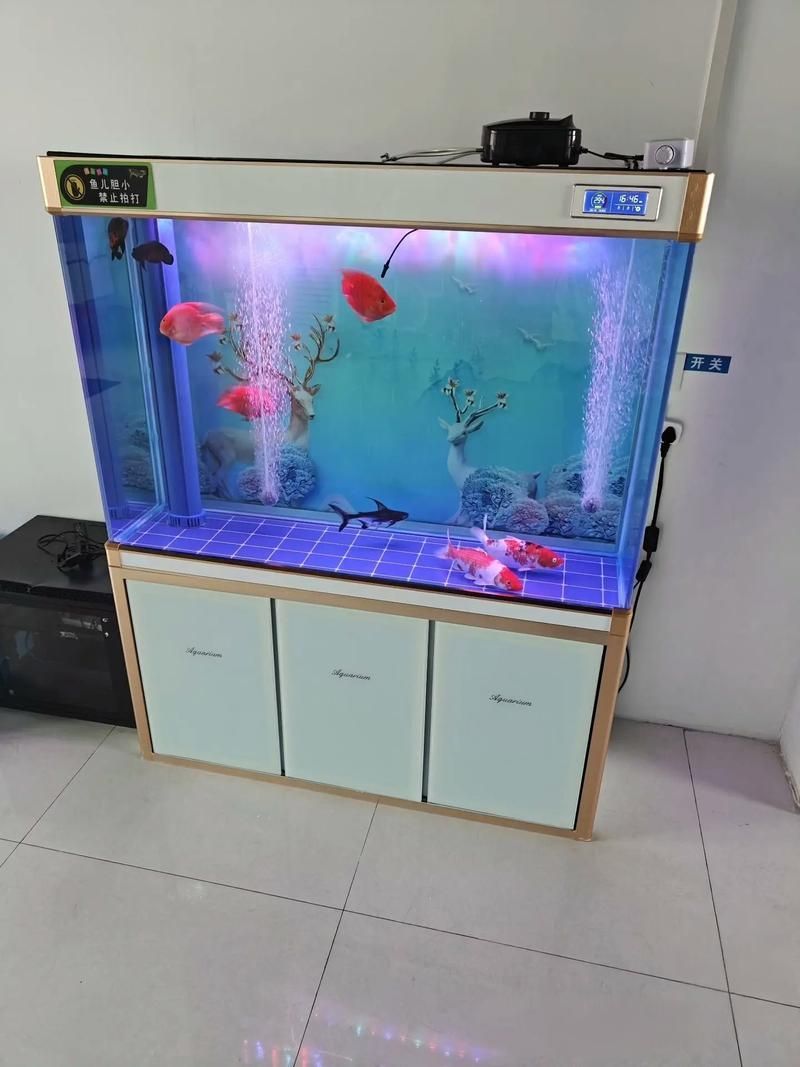 如何判斷一個龍魚缸是否權威？，如何判斷一個龍魚缸是否權威
