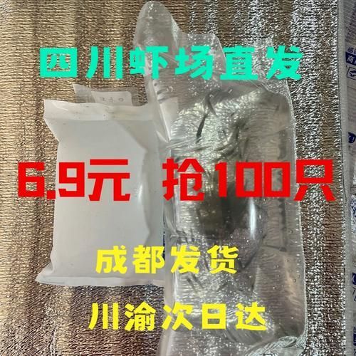 有哪些適合龍魚小苗的餌料？，龍魚小苗喂食指南萌寵訓練師嘉佳每日喂食計劃表