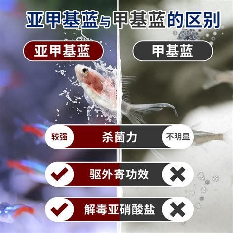 如何預(yù)防龍魚再次感染外寄？，龍魚再次感染外寄的預(yù)防方法