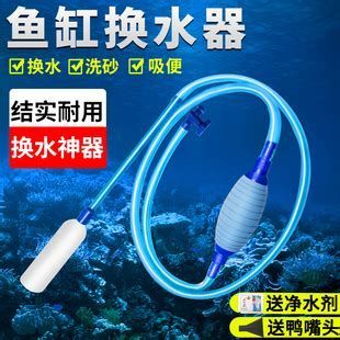 龍魚生病了應該換多少水？，龍魚生病了應該換多少水