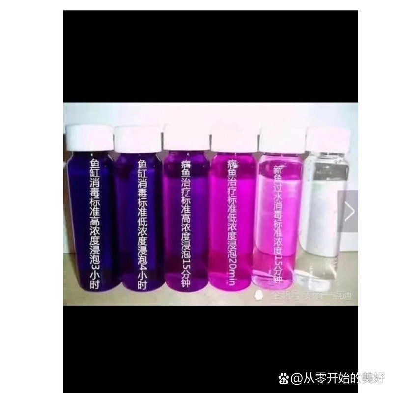 高錳酸鉀治療金魚爛尾有哪些副作用，如何正確使用高錳酸鉀治療金魚爛尾？