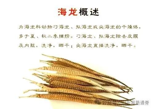如何挑選新鮮的海龍魚，關于海龍魚的挑選