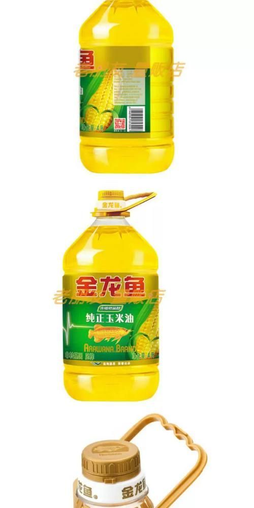 金龍魚批發價目表在哪里可以查到？