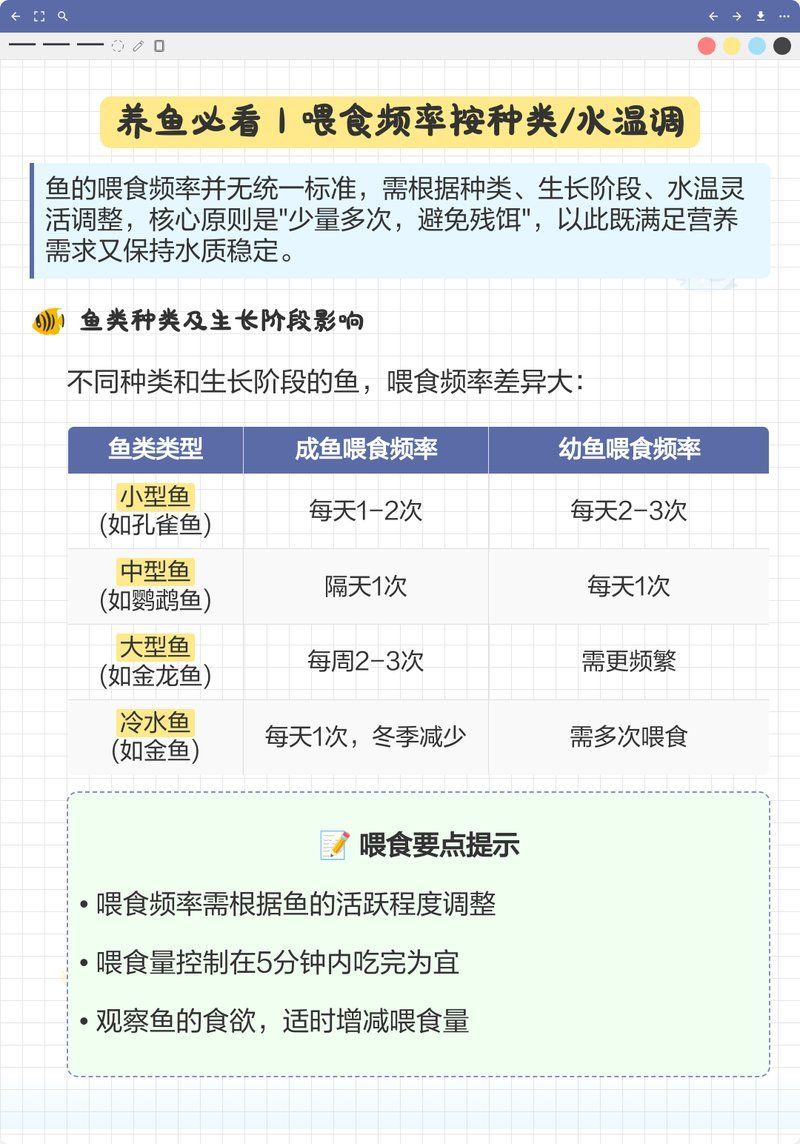 50cm金龍魚應該多久喂一次，養魚必看|金龍魚喂食頻率按種類/水溫調