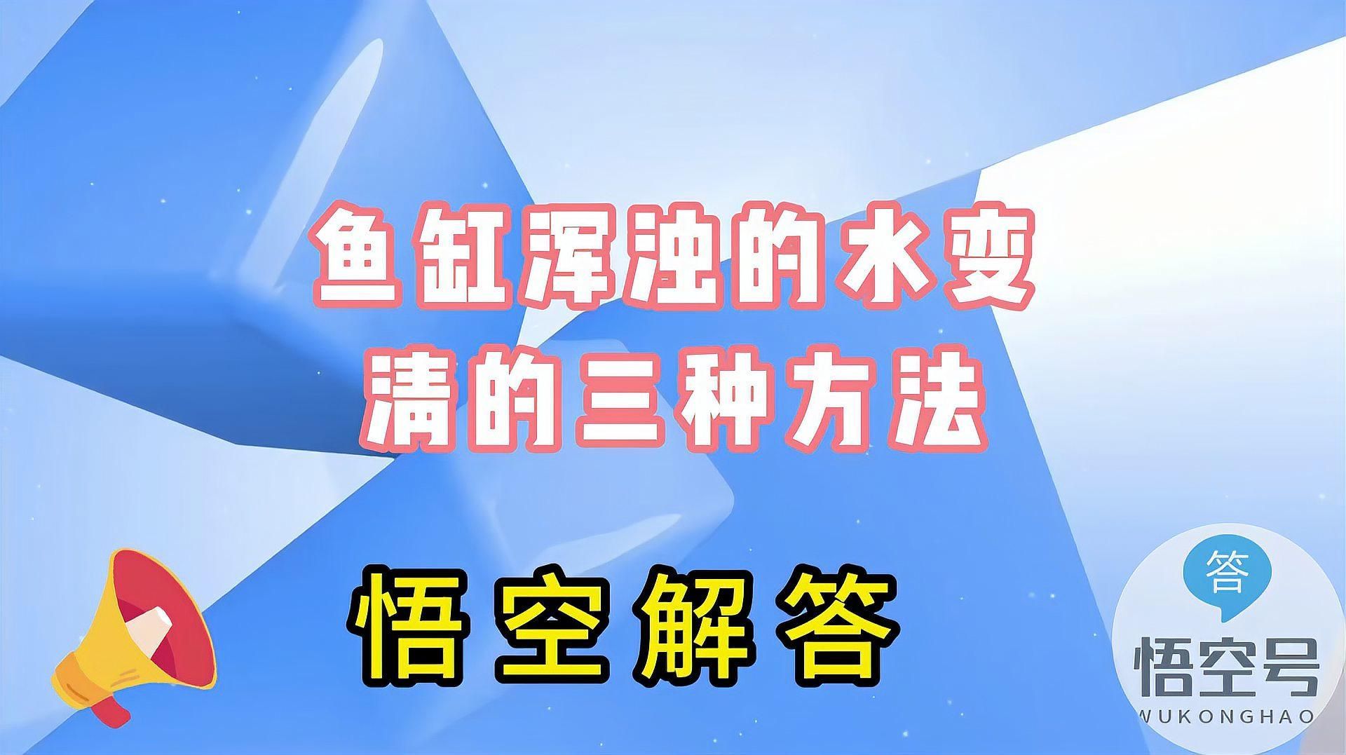 如何改善淡水魚缸的水質？，如何改善淡水魚缸水質