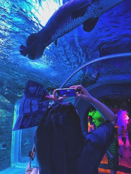 龍魚戲的現代創新有哪些例子？