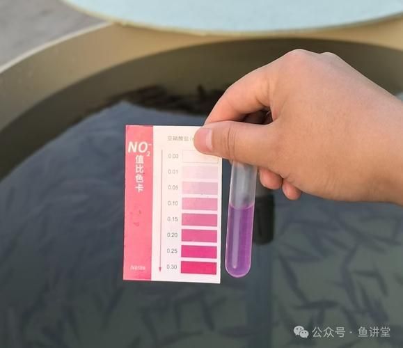 如何預防龍魚細菌性腸炎，如何預防龍魚細菌性腸炎,用戶要求詳解
