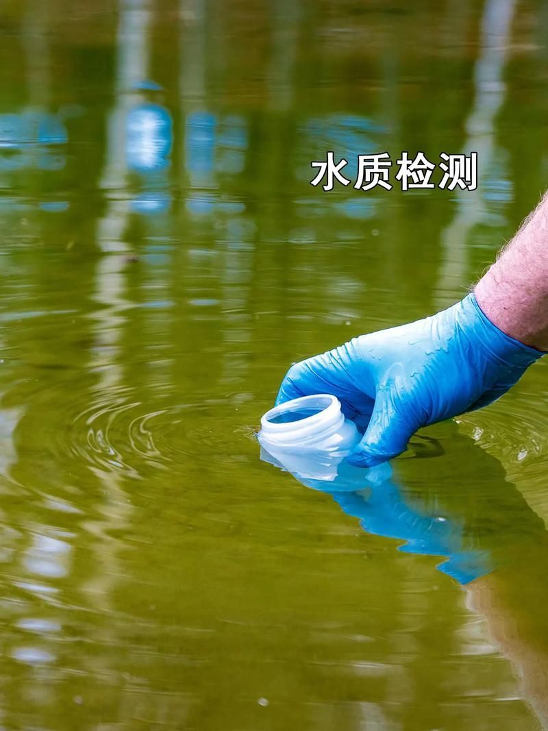 如何預防龍魚細菌性腸炎，如何預防龍魚細菌性腸炎,用戶要求詳解