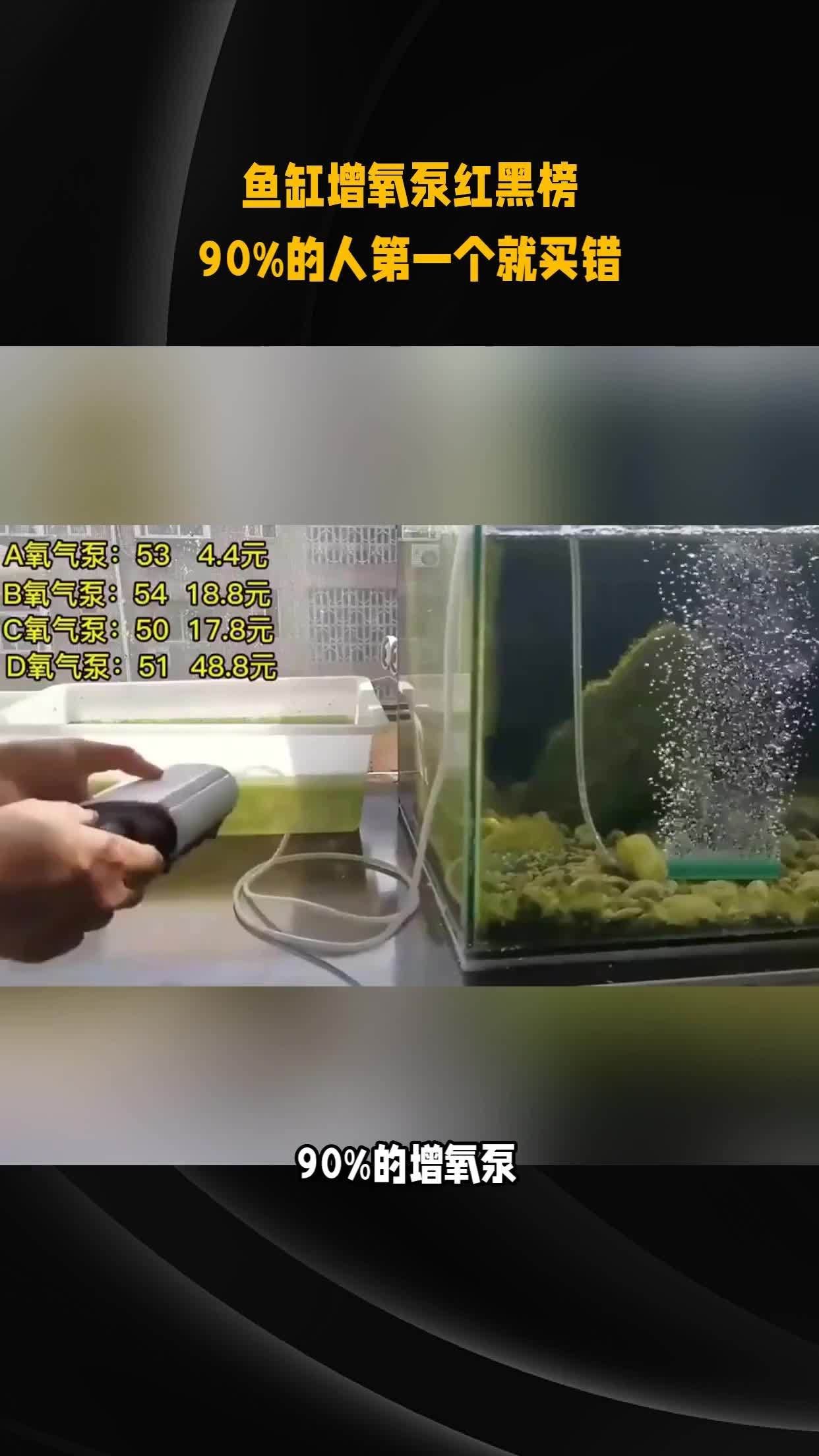 哪種增氧泵最適合六角龍，2025小型魚缸增氧泵選購指南六角龍增氧泵選購指南
