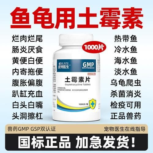 有哪些藥物可以治療龍魚拒食