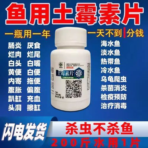 有哪些藥物可以治療龍魚拒食