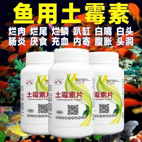 有哪些藥物可以治療龍魚拒食