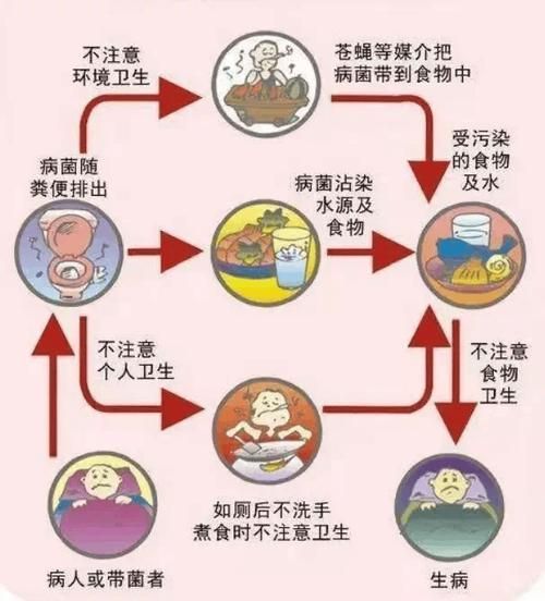 如何預防和治療細菌性疾病，細菌性疾病基礎知識