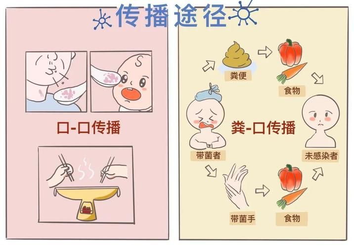 如何預防和治療細菌性疾病，細菌性疾病基礎知識