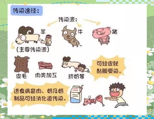 如何預防和治療細菌性疾病，細菌性疾病基礎知識