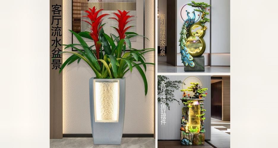 長壽花如何應對金龍魚的競爭？，家庭中長壽花與金龍魚魚缸共存環(huán)境中的“競爭”關系
