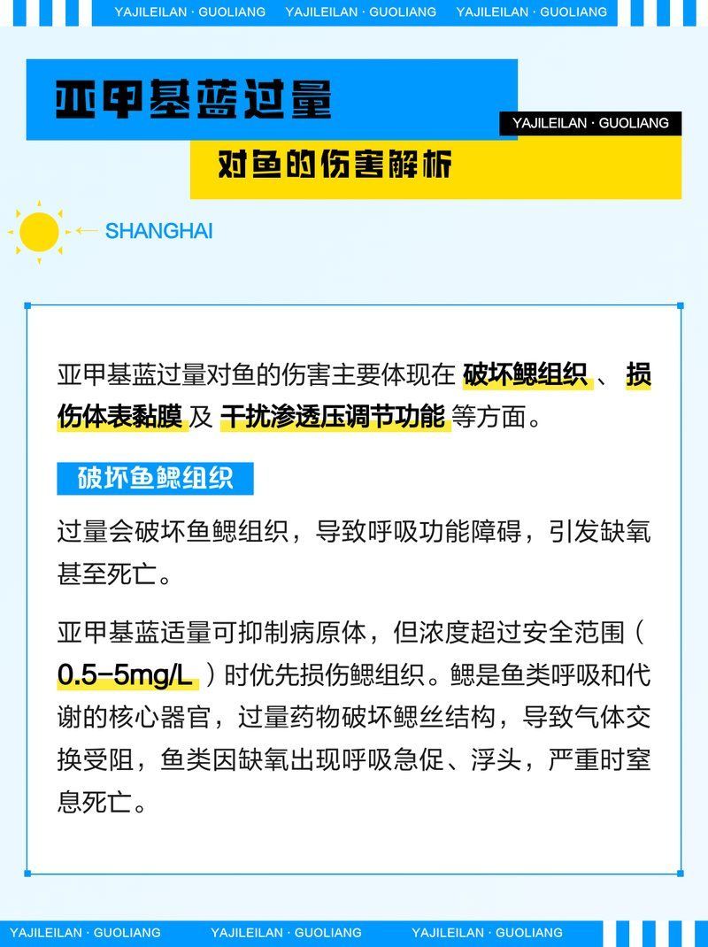 亞甲基藍過量后如何急救，亞甲基藍過量后如何急救亞甲基藍過量后如何急救
