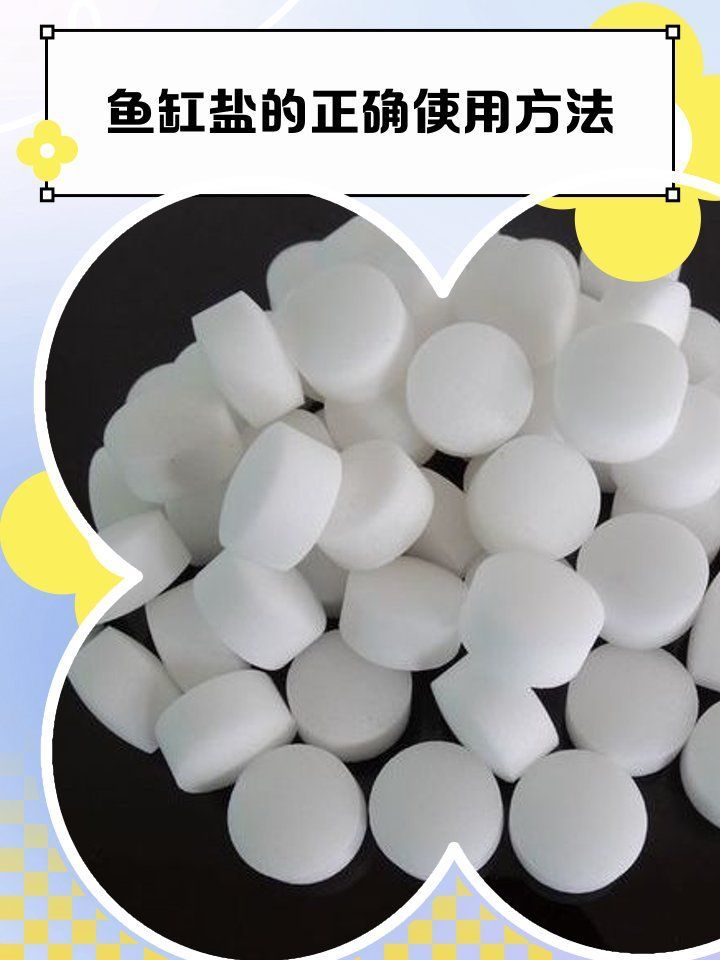 如何判斷龍魚是否需要下鹽，怎樣判斷龍魚是否需要下鹽