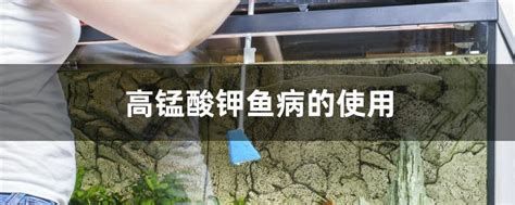 虎魚交叉感染怎么治療，虎魚交叉感染怎么治療虎魚交叉感染怎么治療