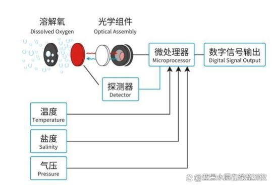 如何檢測魚缸中的溶氧量？，家庭魚缸溶氧量檢測