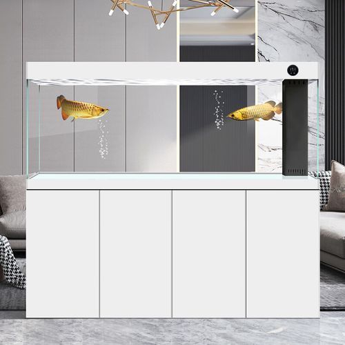 有沒(méi)有更多80cm寬的龍魚(yú)缸推薦，漢霸魚(yú)缸客廳大型客廳大型家用底過(guò)慮超白玄關(guān)龍魚(yú)缸