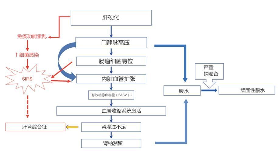 雷龍腹水患者應該如何護理，雷龍腹水患者如何護理