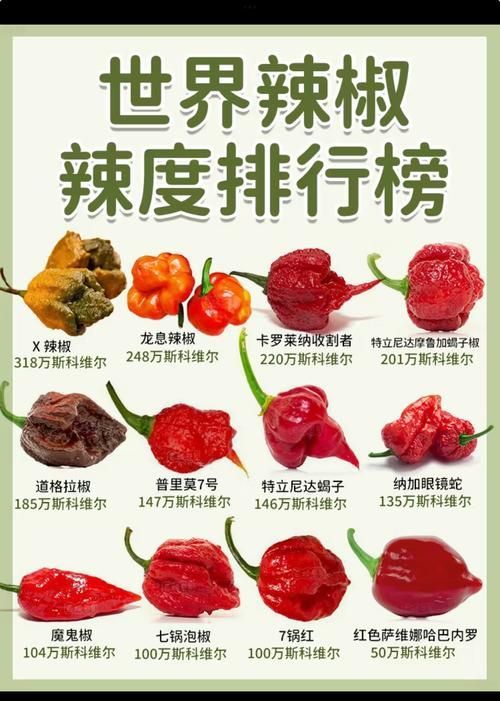 紅龍超血和辣椒哪個(gè)更辣，紅龍超血與辣椒哪個(gè)更辣？
