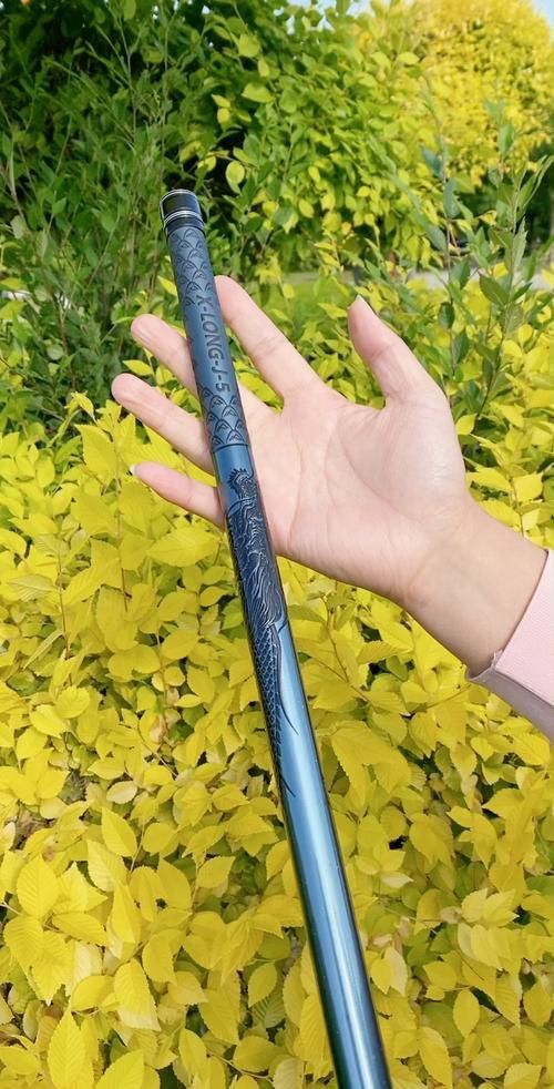 貴定龍魚魚竿有哪些型號？，“貴定龍魚竿”并非真實存在的品牌或地方特產“貴定龍魚魚竿”