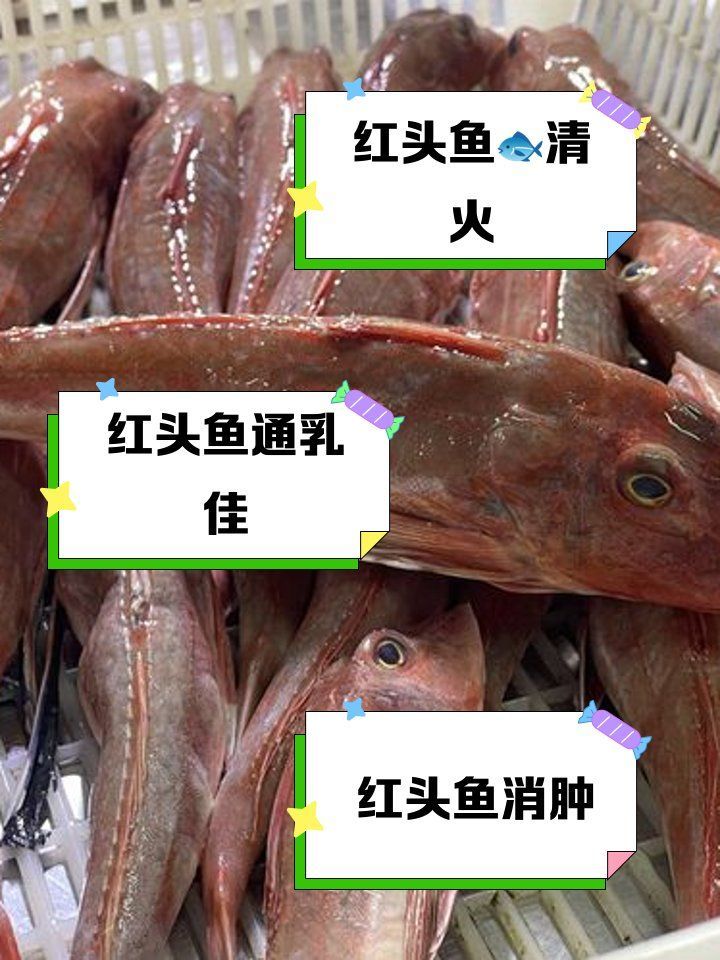 紅頭魚有哪些營養(yǎng)價(jià)值，紅頭魚有哪些營養(yǎng)價(jià)值紅頭魚哪些人群不適合食用